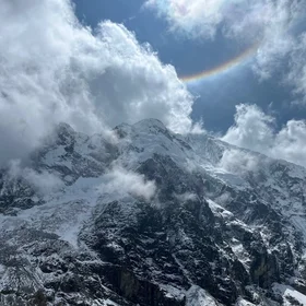 Halo above shades of white
