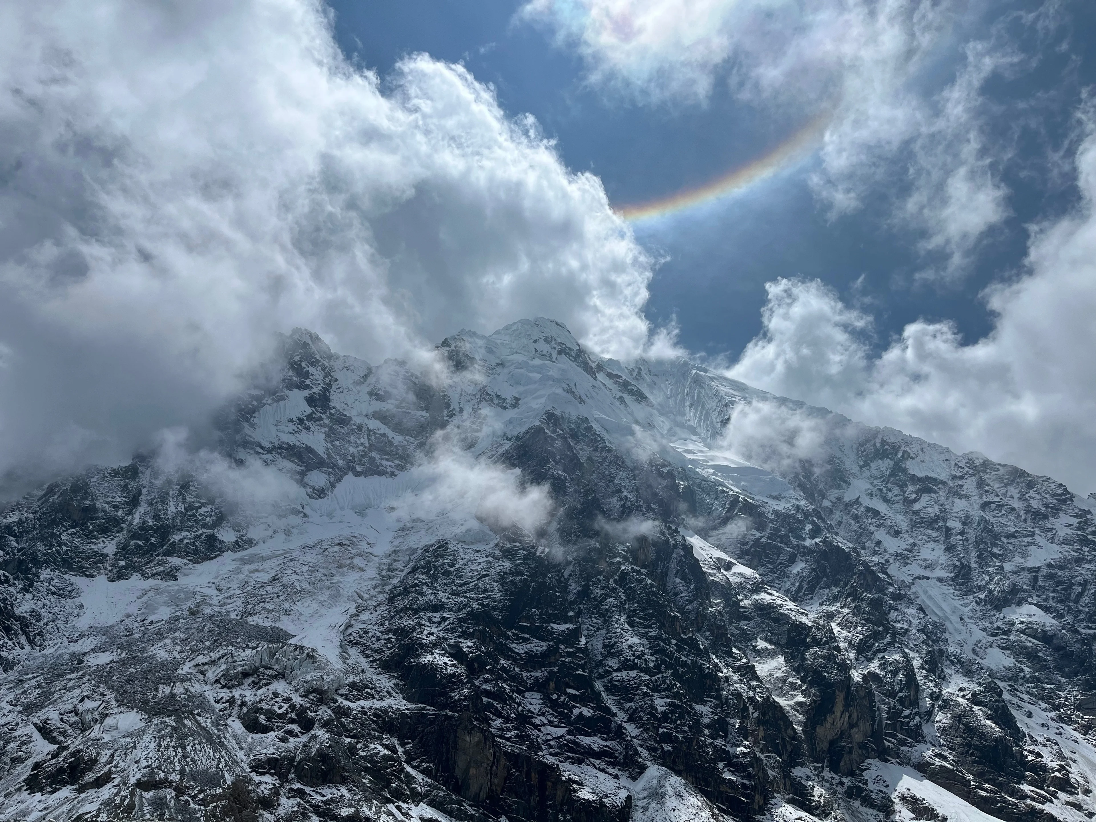 Halo above shades of white