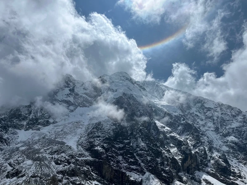 Halo above shades of white