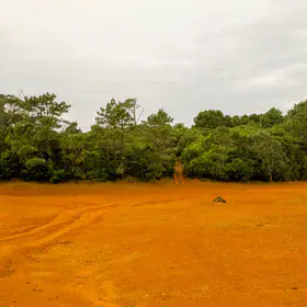 The Red Desert of Santa Maria: Ancient Paleosols and Weathering