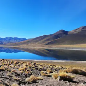 The Miscanti Mirror: Reflections on the Chilean Altiplano