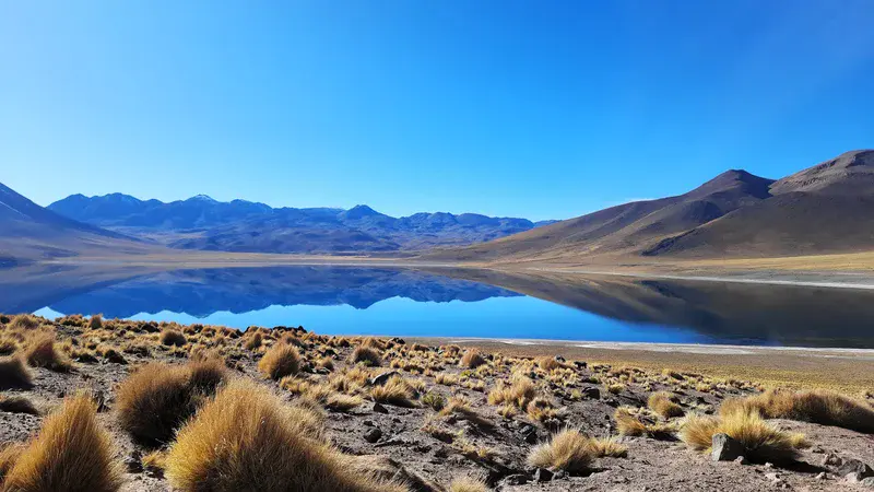 The Miscanti Mirror: Reflections on the Chilean Altiplano