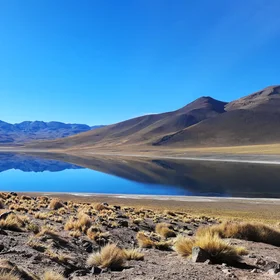 The Miscanti Mirror: Reflections on the Chilean Altiplano