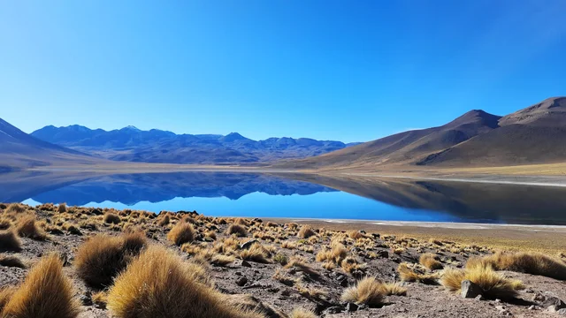 Vast blue lake reflects distant mountains under a clear sky, surrounded by arid, golden grasslands.