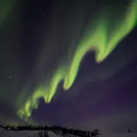 Dancing ribbon in the polar sky