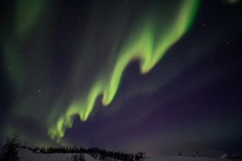 Dancing ribbon in the polar sky