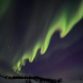 Dancing ribbon in the polar sky