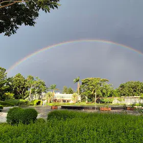 Prism skies by Lokeshwar