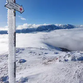 Above the Clouds: A Winter Temperature Inversion in the Carpathians