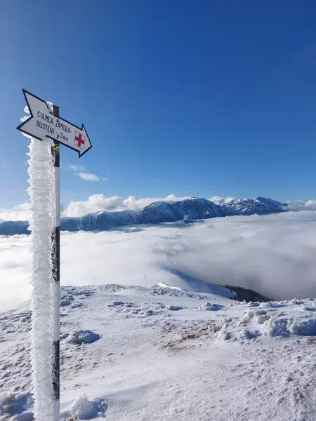 Above the Clouds: A Winter Temperature Inversion in the Carpathians