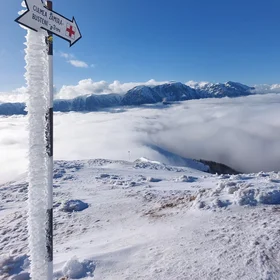 Above the Clouds: A Winter Temperature Inversion in the Carpathians