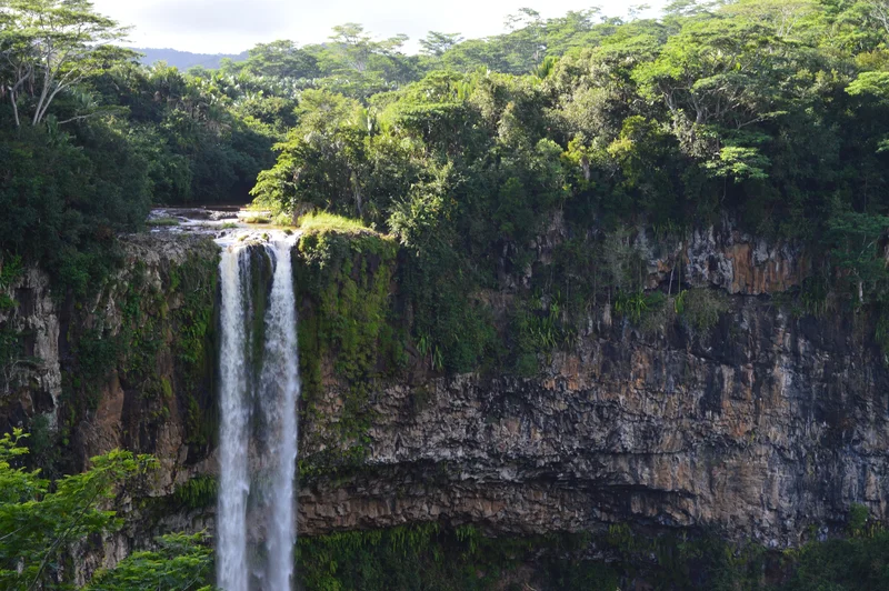 Tropical Drop in Volcanic Island