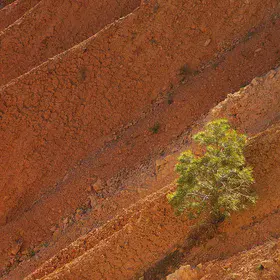 Alone against instability