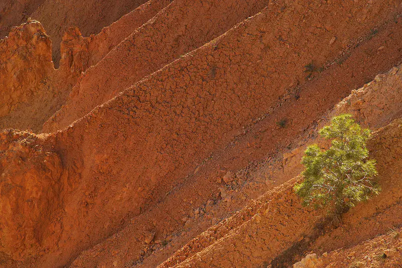 Alone against instability