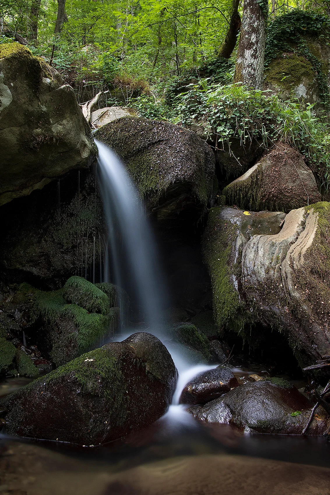 Silky fall in a step-and-pool mountain stream