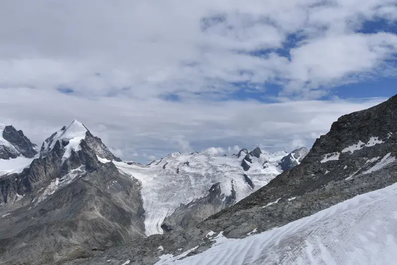 Between Persistence and Retreat