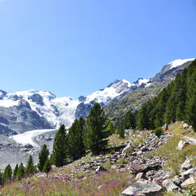 Where Ice Meets Life