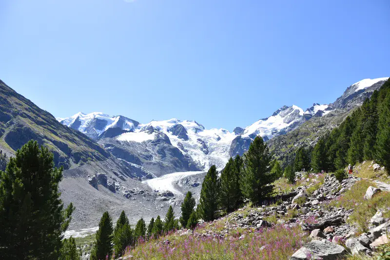 Where Ice Meets Life