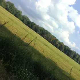 The Boberg Dunes - Hamburg