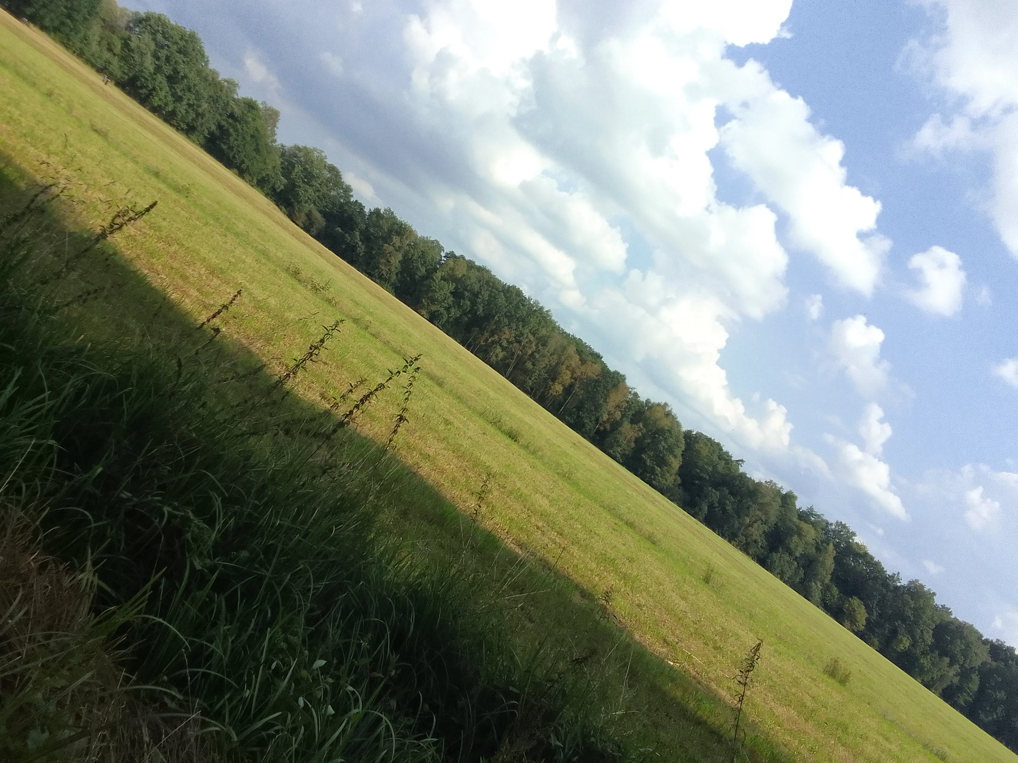 The Boberg Dunes - Hamburg