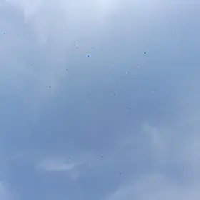 Air plastic pollution