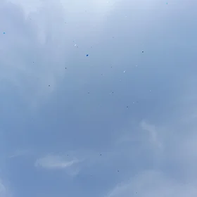 Air plastic pollution