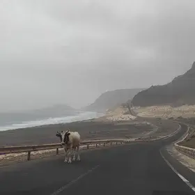 The coastline of São Vicente