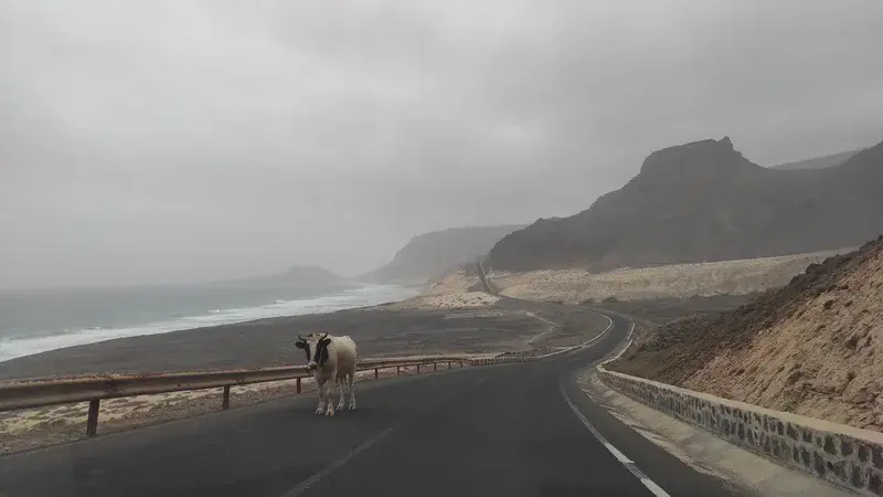 The coastline of São Vicente
