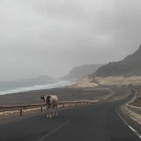 The coastline of São Vicente