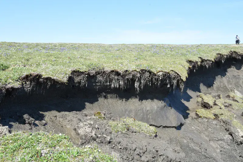 Ground in Transition: Thawing Permafrost at the Arctic Coast