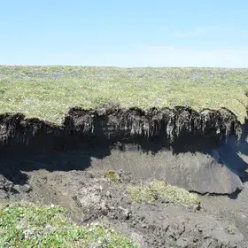 Ground in Transition: Thawing Permafrost at the Arctic Coast
