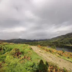 Glitters and Colours