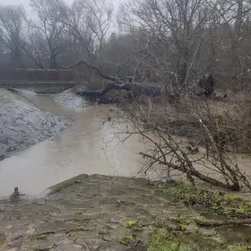 Chasing Storms on the Field