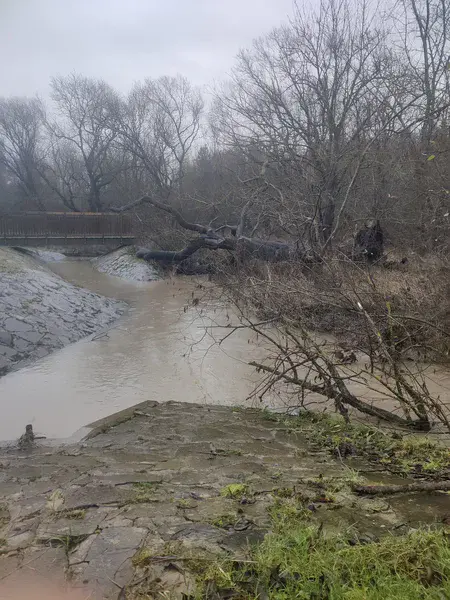 Chasing Storms on the Field
