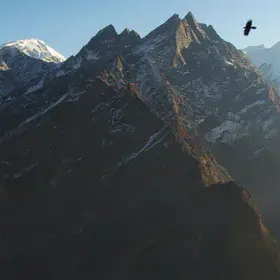 Across Scales: Life in the High Himalaya