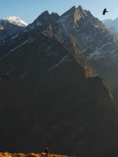 Across Scales: Life in the High Himalaya