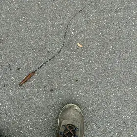 Going slowly, but always going