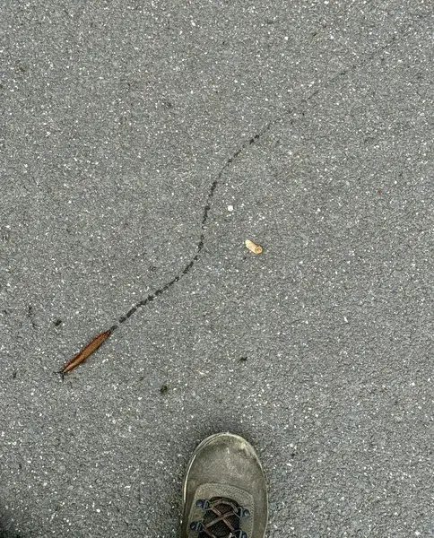 Going slowly, but always going