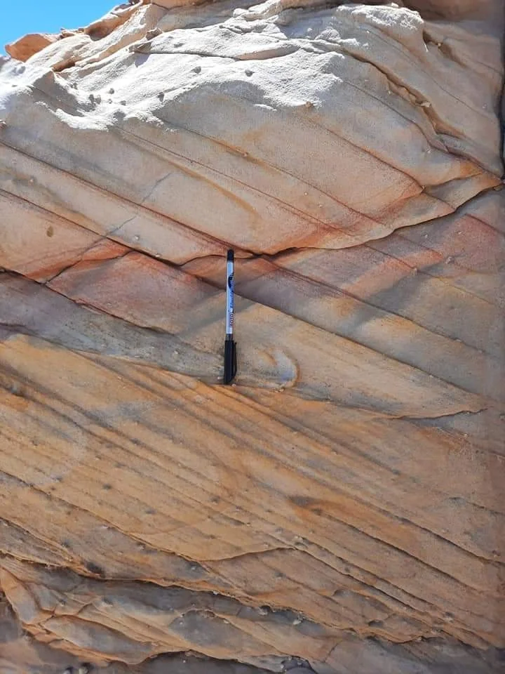 Cross-bedded sandstone of the Taref Formation, Western Desert, Egypt