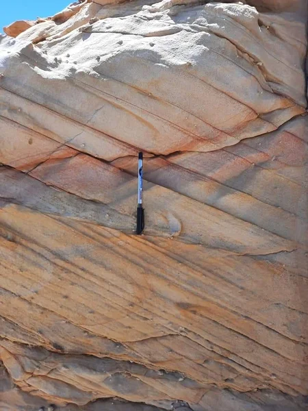 Cross-bedded sandstone of the Taref Formation, Western Desert, Egypt