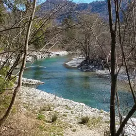 Sava river at Bohinjska Bela