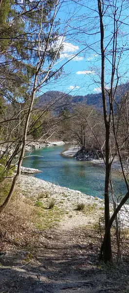 Sava river at Bohinjska Bela