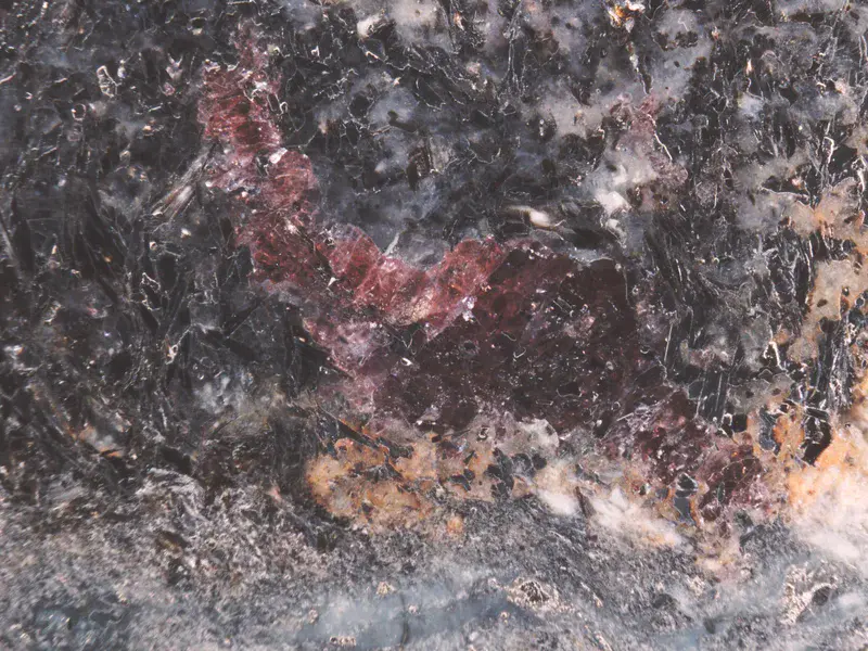 Sheared and rotated almandine garnet in Precambrian gneiss from Estonia