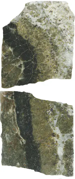 Contact aureole between tonalitic melt and diopside marble, Precambrian basement of Estonia