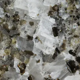 Calcite vein associated with biotite and pyrrhotite in Svecofennian marble, Precambrian basement of Estonia