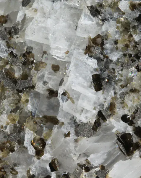 Calcite vein associated with biotite and pyrrhotite in Svecofennian marble, Precambrian basement of Estonia