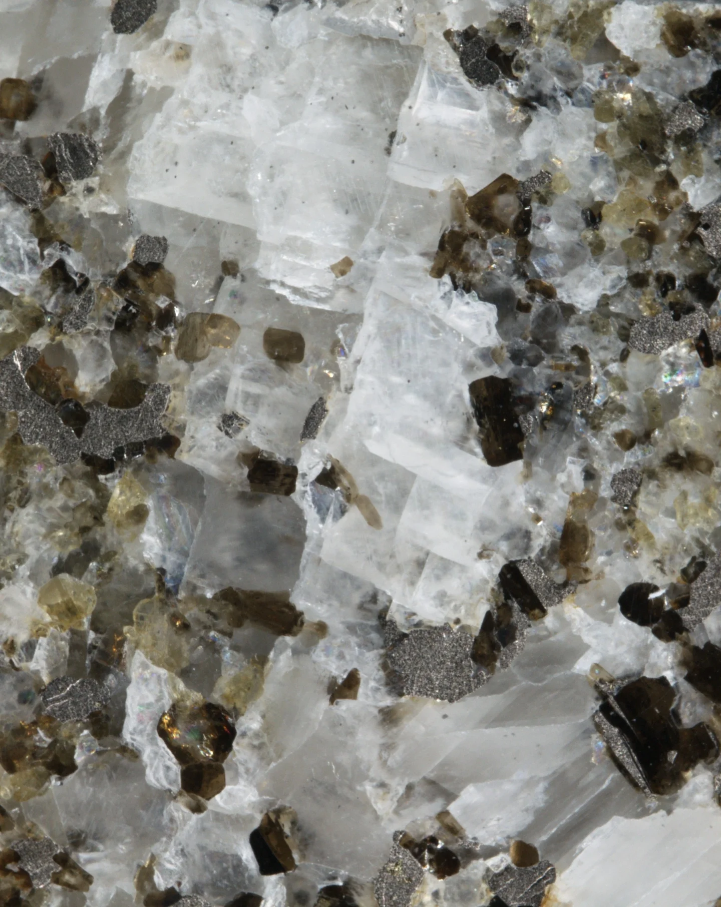 Calcite vein associated with biotite and pyrrhotite in Svecofennian marble, Precambrian basement of Estonia