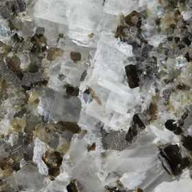 Calcite vein associated with biotite and pyrrhotite in Svecofennian marble, Precambrian basement of Estonia
