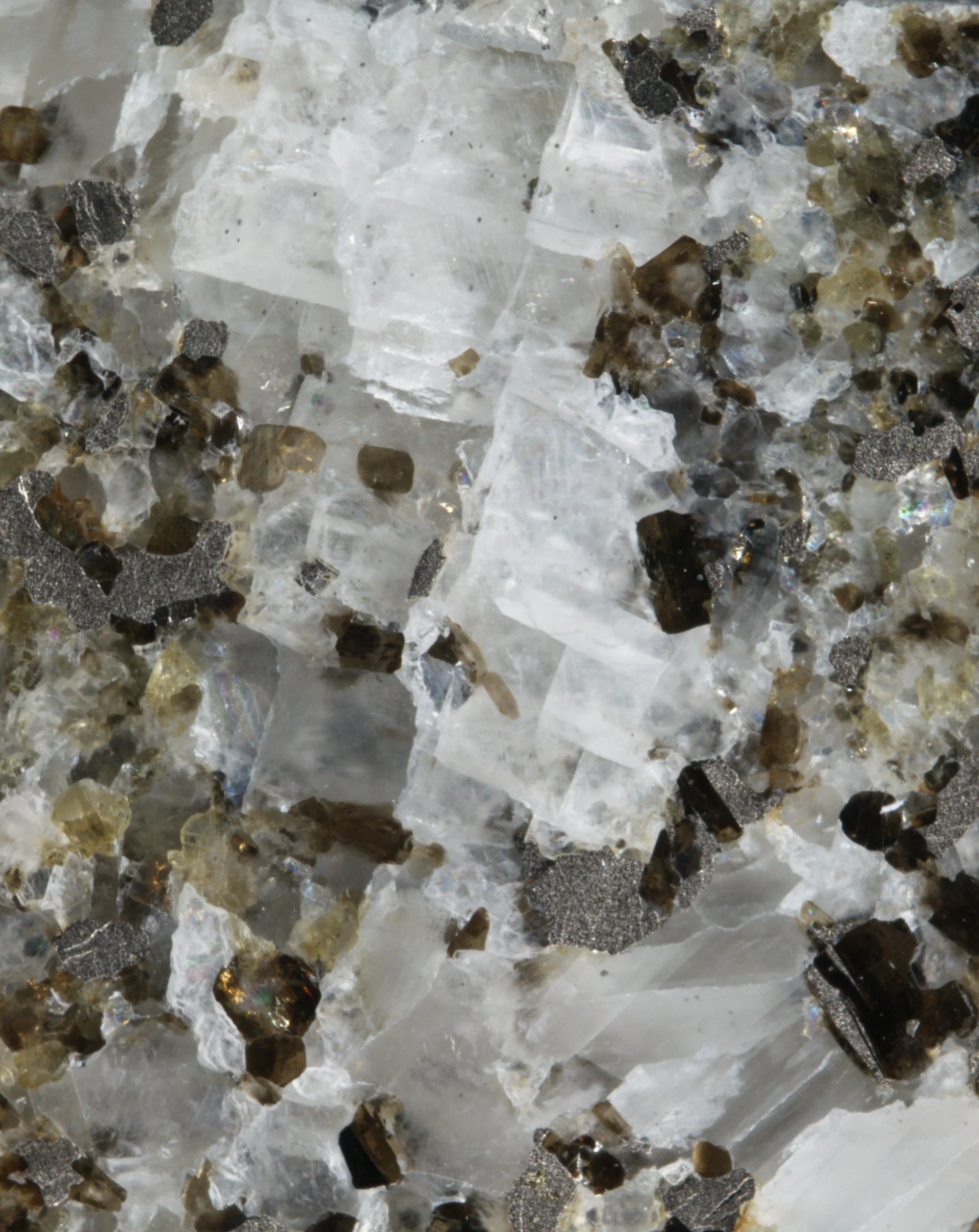 Calcite vein associated with biotite and pyrrhotite in Svecofennian marble, Precambrian basement of Estonia