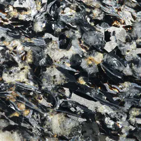 Sulphide and graphite-rich gneiss